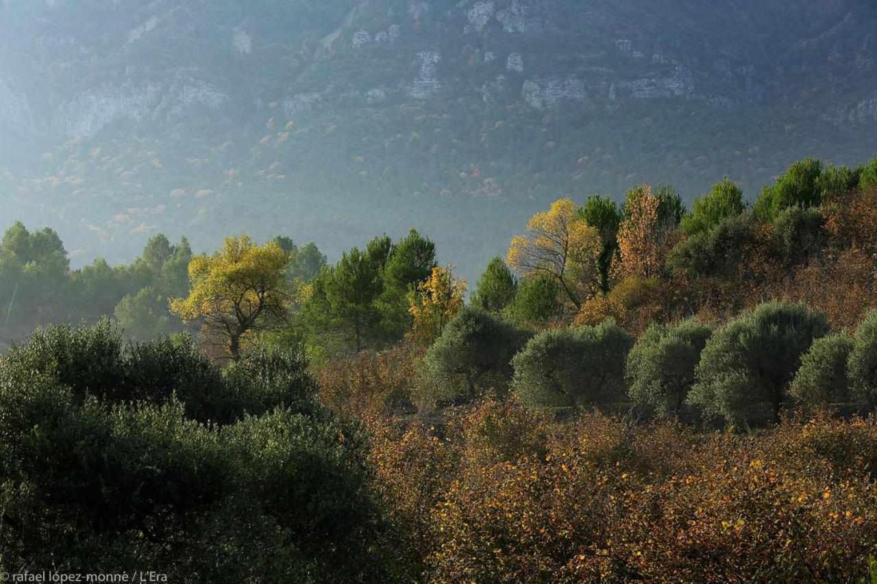 Casa Rural Lera Torre de Fontaubella ภายนอก รูปภาพ
