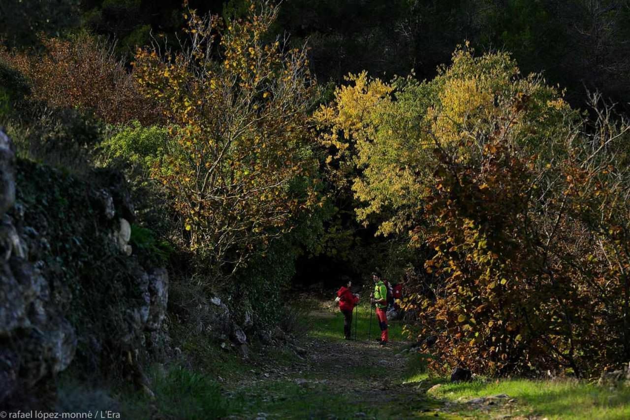 Casa Rural Lera Torre de Fontaubella ภายนอก รูปภาพ